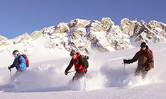 Snowcat and Heli-Skiing