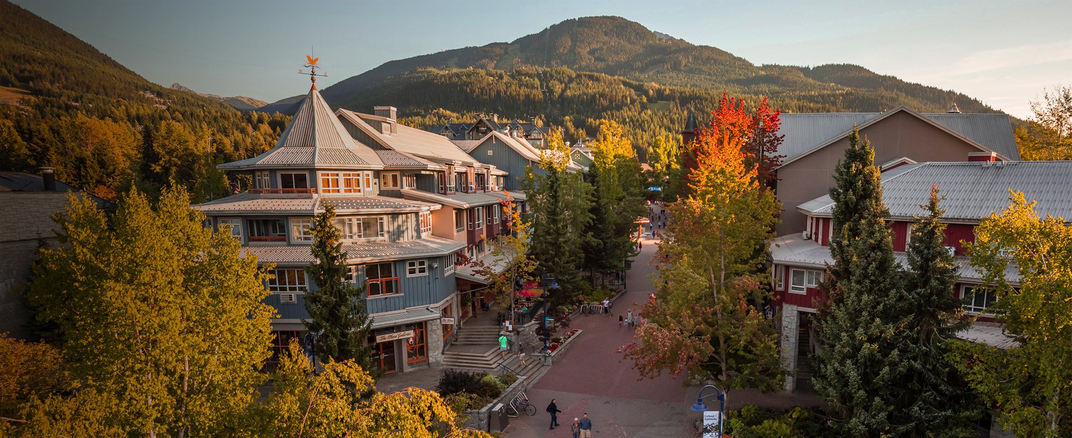 Three yellow chaise lounges beside Fitzsimmons Creek on a sunny fall day in Whistler Village