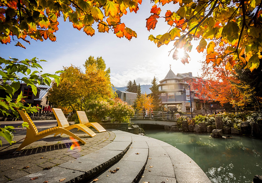 Three yellow chaise lounges beside Fitzsimmons Creek on a sunny fall day in Whistler Village