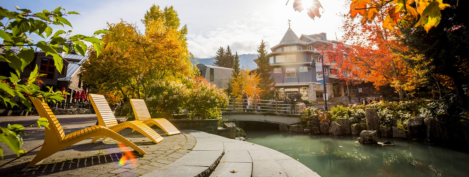 Three yellow chaise lounges beside Fitzsimmons Creek on a sunny fall day in Whistler Village