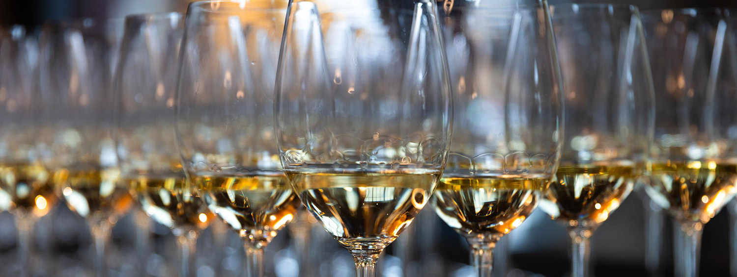 A row of wine glasses filled with white wine