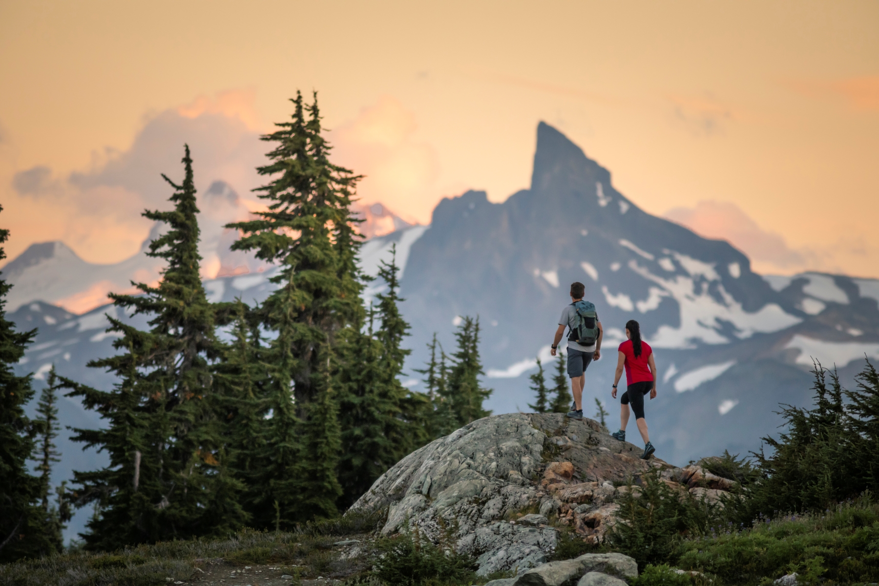 Love Whistler Better