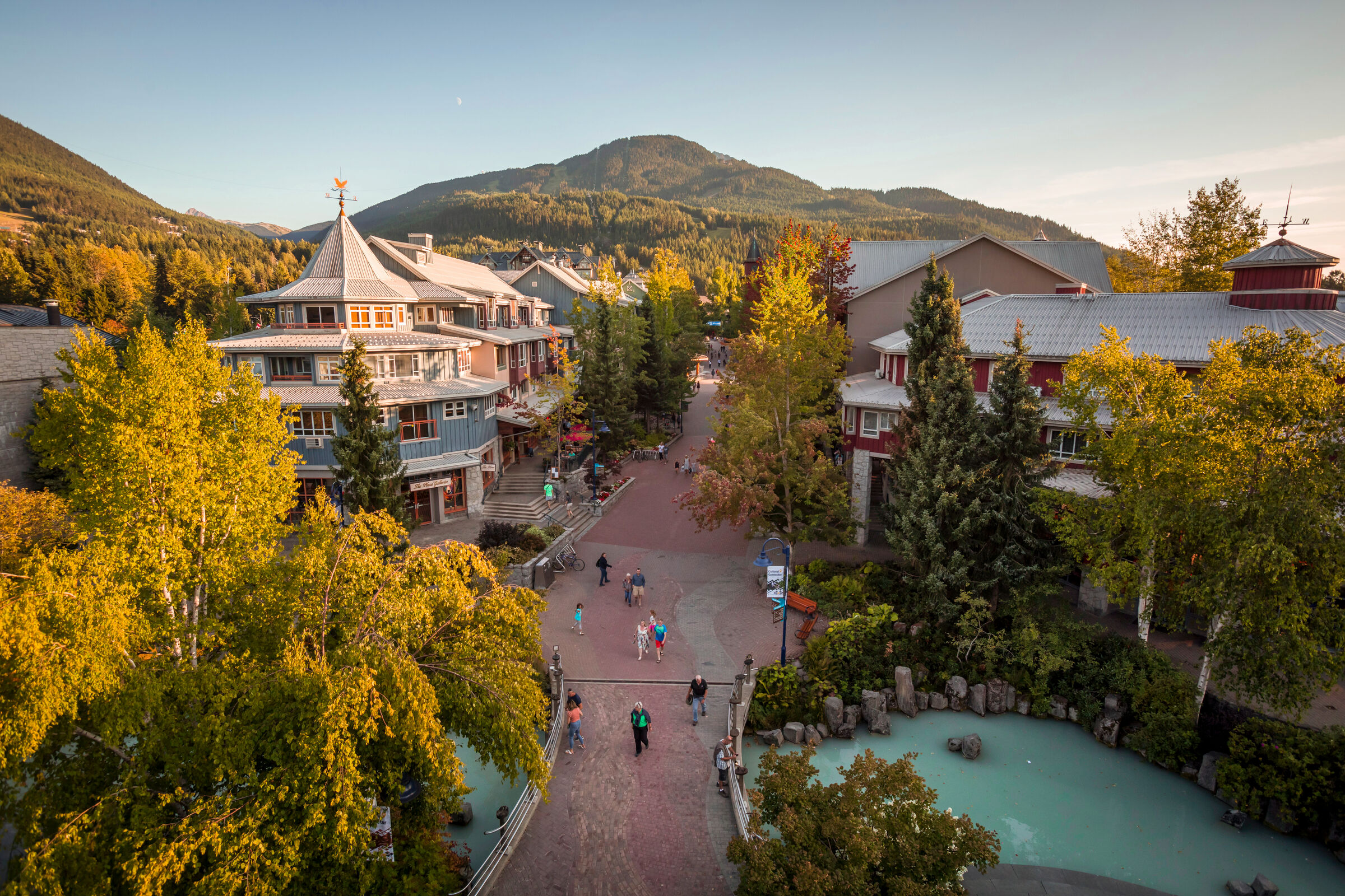 Whistler Cornucopia