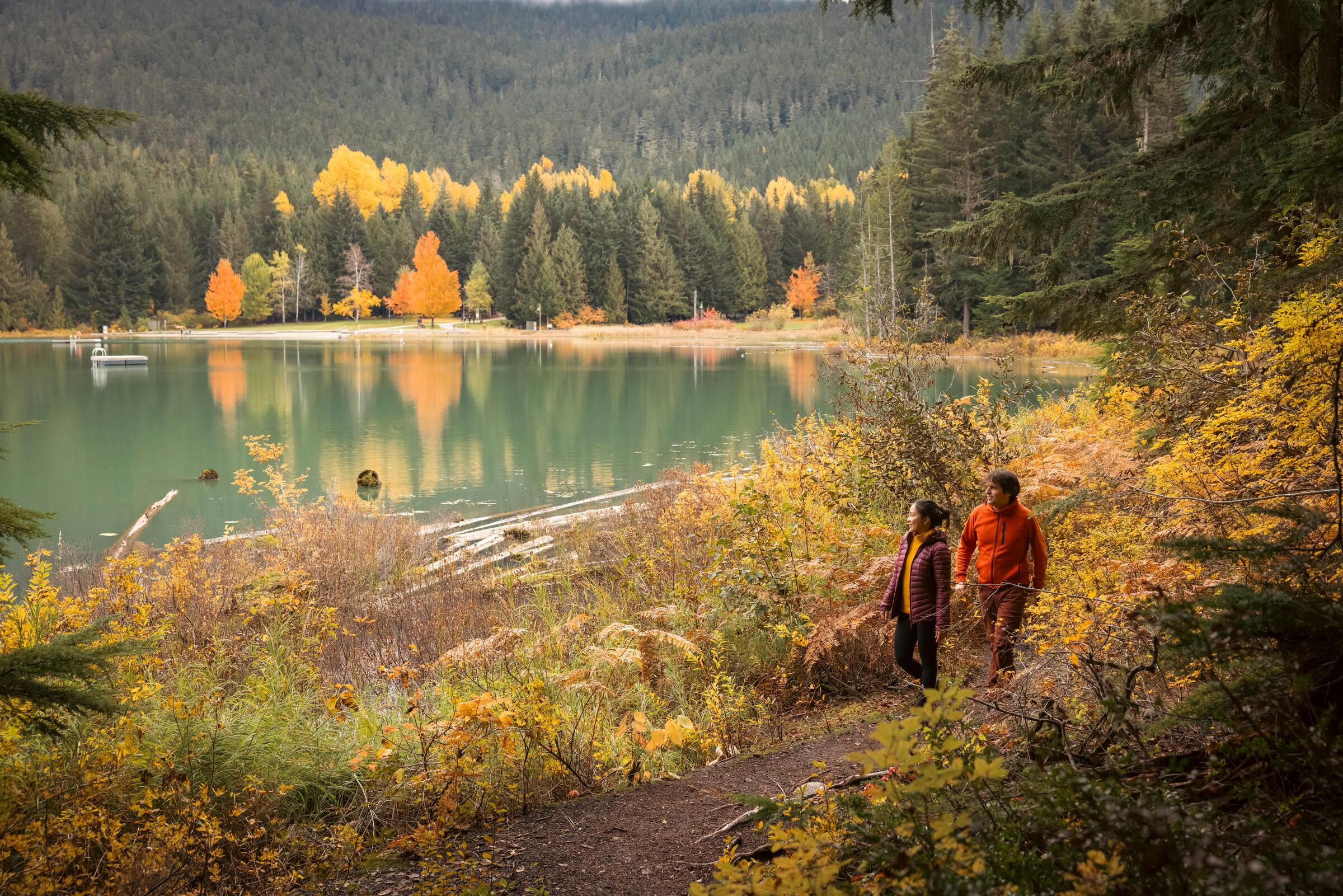 Whistler in fall