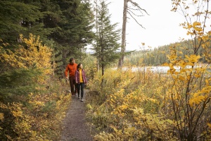19 Things to Do in Whistler in Fall